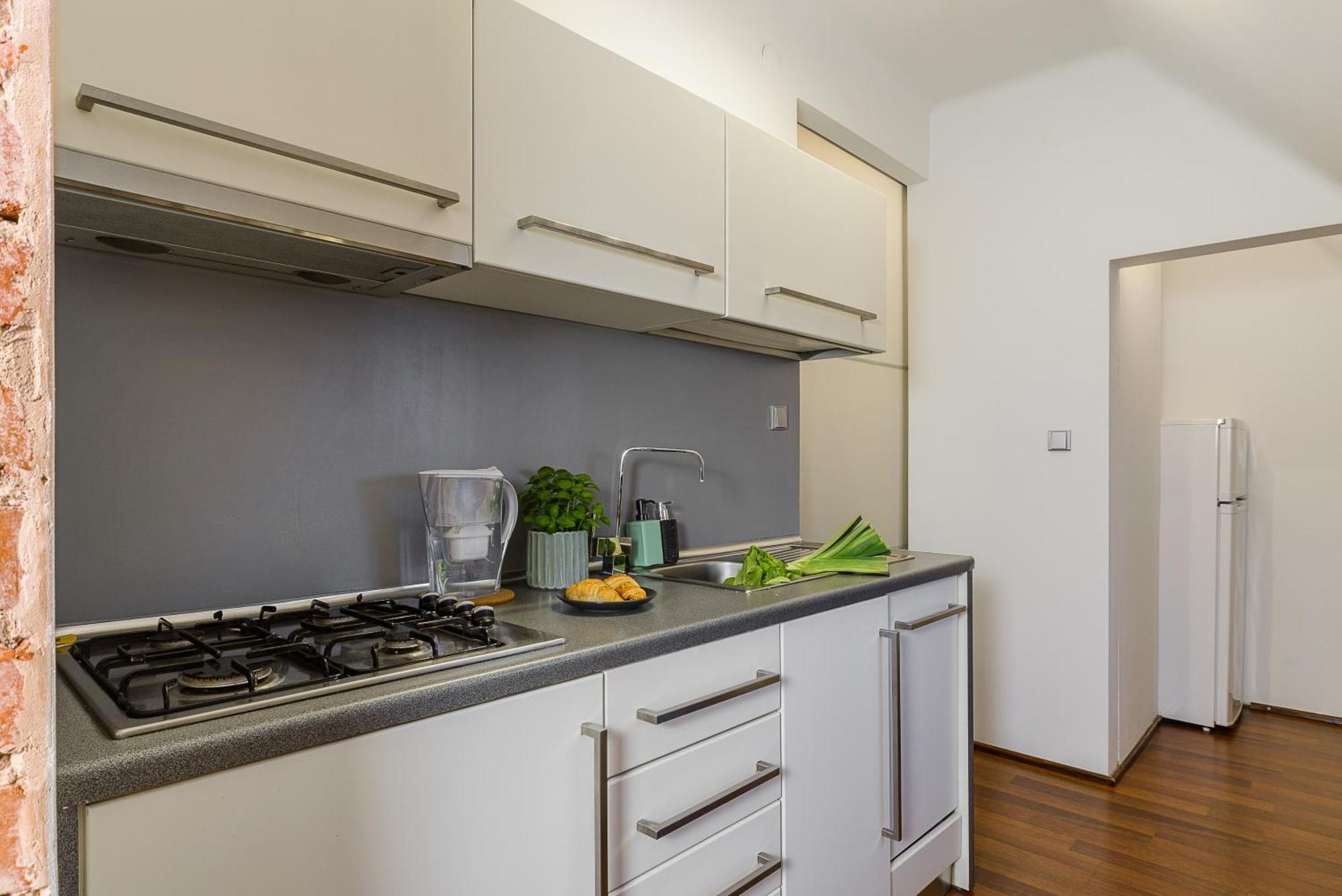 Apartament Lumina 2-level Near Multimedialny Park Fontann
